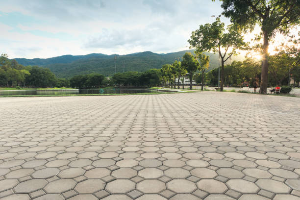 Best Commercial Driveway Pavers  in Ramseur, NC